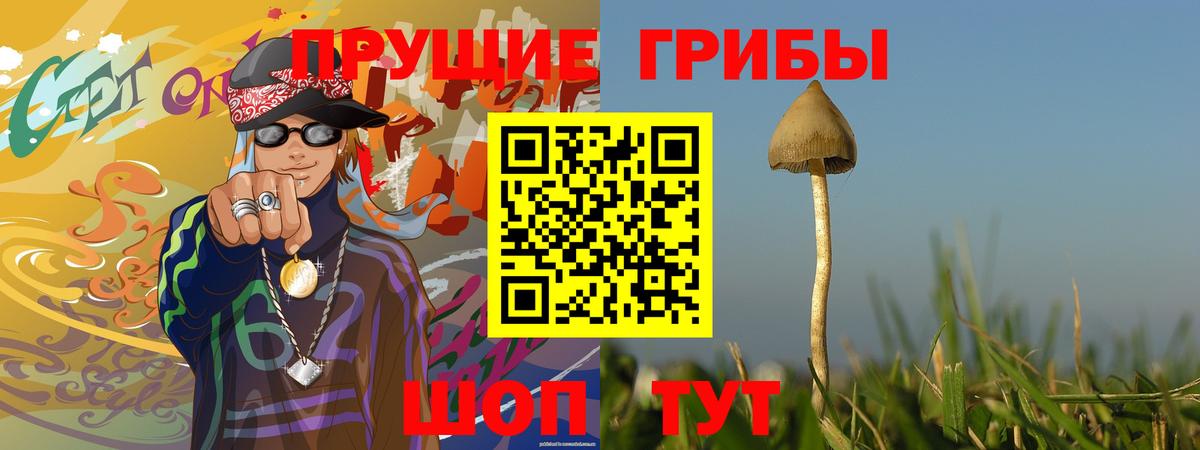 купить закладку  Галлюциногенные грибы MAGIC MUSHROOMS  Вход с VPN  Галлюциногенные грибы Magic Shrooms  Комсомольск-на-Амуре 